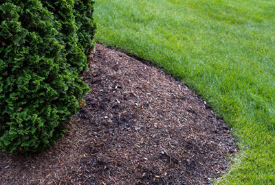 Refined image lawn and landscape, softscapes, snow & ice, lawn cutting & maintenance, residential & commercial lawn care, dunnville, ON